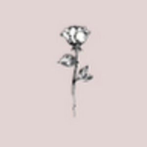 Meet your Posher, Grace anne